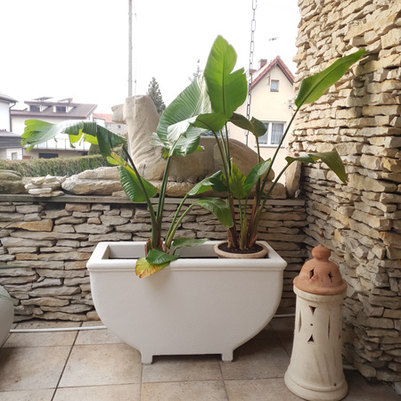 Donica vintage beż termo 104x43x56 z nóżkami